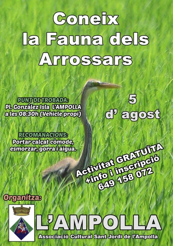 Coneix la fauna dels arrossars