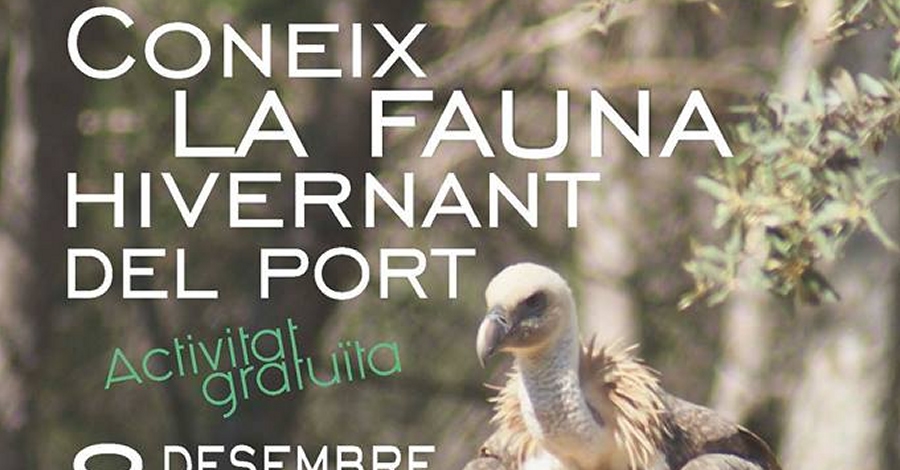 Coneix la fauna hivernant del Port