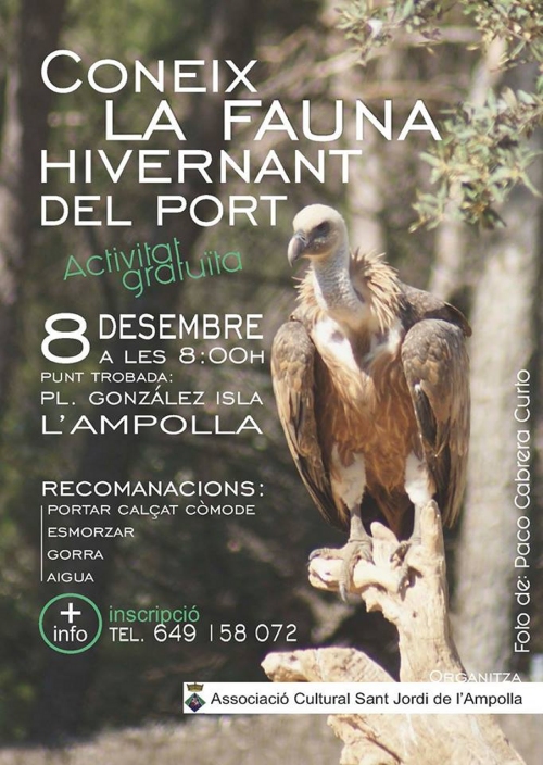 Coneix la fauna hivernant del Port