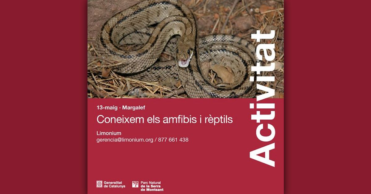 Coneixem els amfibis i rptils