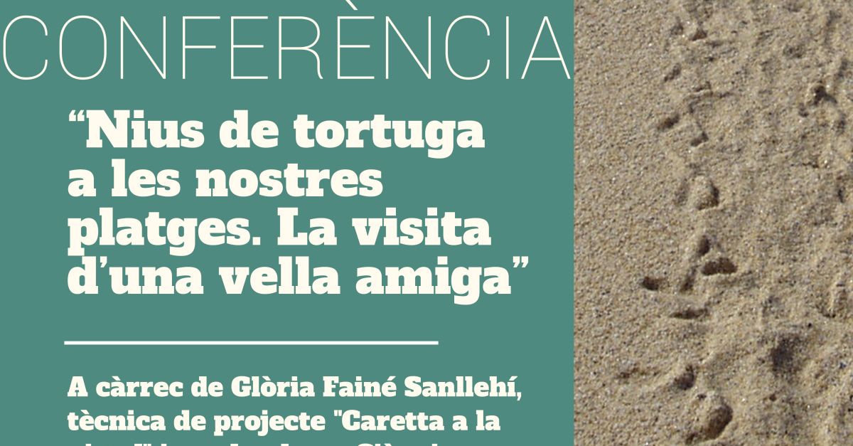 Conferncia: Nius de tortugues a les nostres platges. La visita duna vella amiga