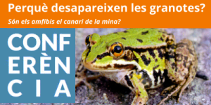 Conferncia: Perqu desapareixen les granotes?