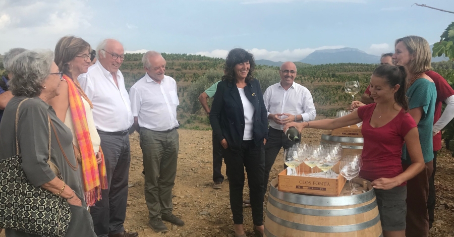 La consellera Teresa Jord dna la benvinguda a la verema 2018 lliurant el reconeixement de nous vins de finca al Priorat | EbreActiu.cat, revista digital d’oci actiu | Terres de l’Ebre ...