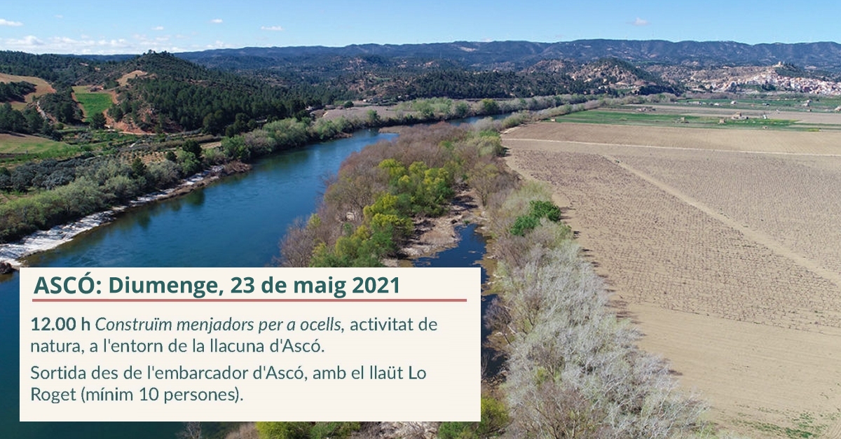 Activitat de natura: Construm menjadors per a ocells a lentorn de la llacuna dAsc