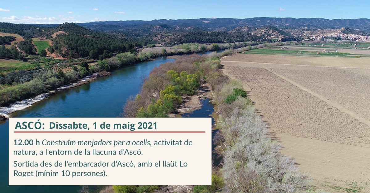 Activitat de natura: Construm menjadors per a ocells a lentorn de la llacuna dAsc