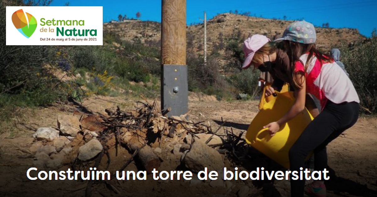 Jornada de voluntariado: Construccin de una torre de biodiversidad - #SetmanaNatura2021