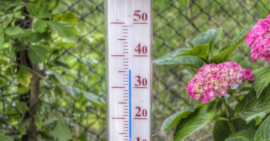 Protecci Civil de Catalunya mant l’alerta per onada de calor | EbreActiu.cat, revista digital d’oci actiu | Terres de l’Ebre ...