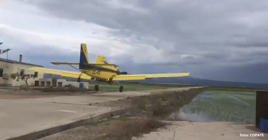 Continuen els tractaments contra les larves de mosquit al Delta de l’Ebre | EbreActiu.cat, revista digital d’oci actiu | Terres de l’Ebre ...