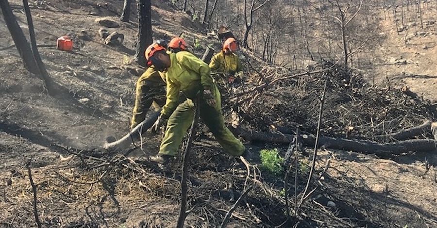 Continuen els treballs de restauraci dels terrenys forestals afectats per l’incendi de la Ribera d’Ebre | EbreActiu.cat, revista digital d’oci actiu | Terres de l’Ebre ...