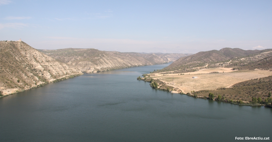 Arrenca la campanya estiuenca de control larvari del musclo zebrat als embassaments de la conca de l’Ebre | EbreActiu.cat, revista digital d’oci actiu | Terres de l’Ebre ...