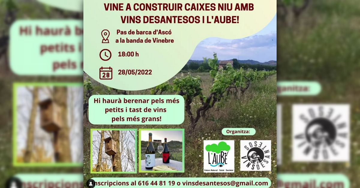 Ven a construir cajas nido con Vins Desantesos y lAube