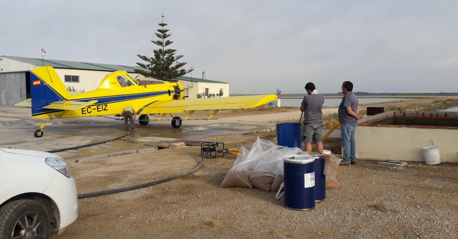 Subvenci de 850.000 euros per al control de les plagues del mosquit tigre i la mosca negra | EbreActiu.cat, revista digital d’oci actiu | Terres de l’Ebre ...