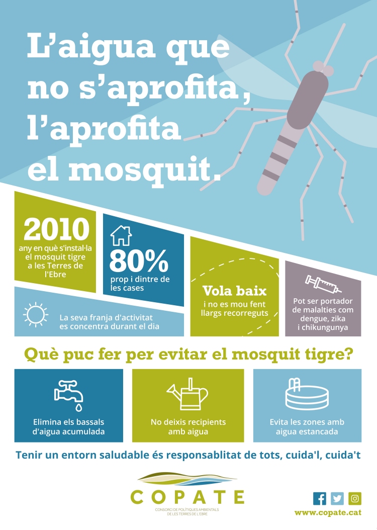 El COPATE impulsa una campanya de prevenci del mosquit tigre | EbreActiu.cat, revista digital d’oci actiu | Terres de l’Ebre ...