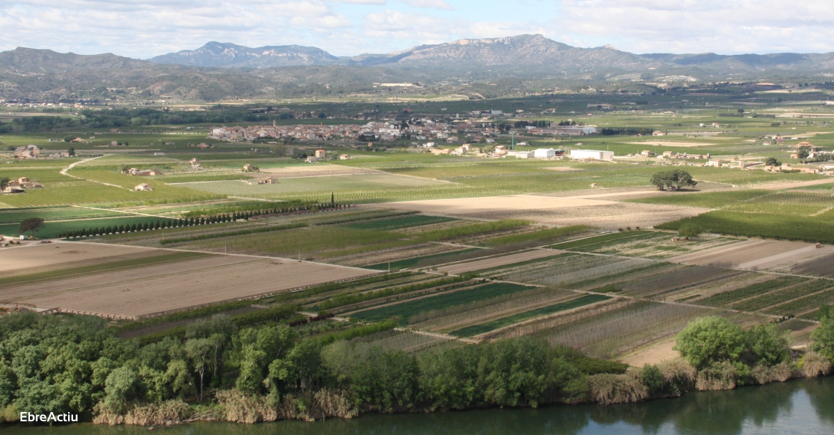 El COPATE promou el primer banc de terres territorial per enfortir el sector agrari ebrenc | EbreActiu.cat, revista digital d’oci actiu | Terres de l’Ebre ...