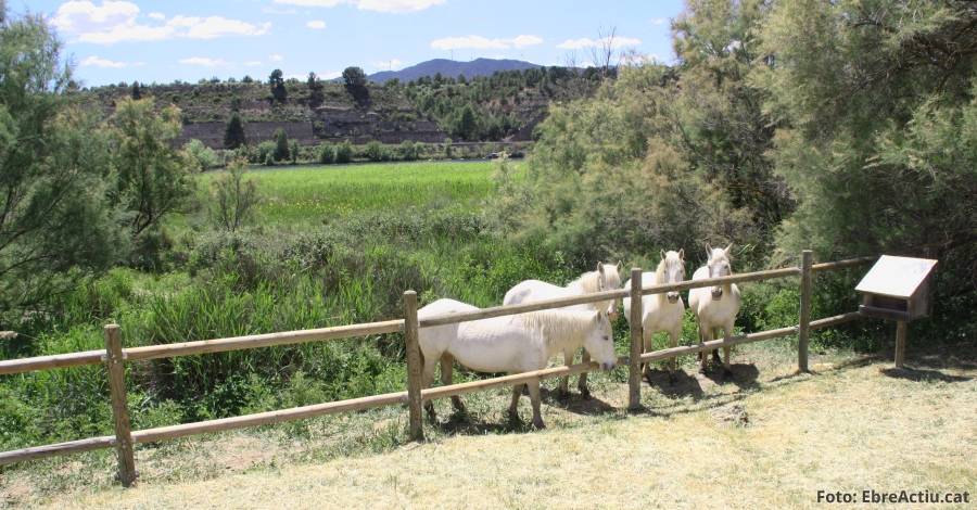 El COPATE inicia els trmits per ampliar la Reserva de la Biosfera a totes les Terres de l’Ebre | EbreActiu.cat, revista digital d’oci actiu | Terres de l’Ebre ...