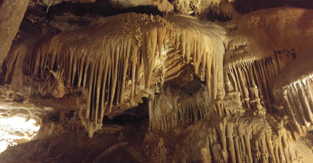 Les Coves Meravelles de Benifallet reben el Premio a la Excelencia en Cuevas y Minas Tursticas Espaolas | EbreActiu.cat, revista digital d’oci actiu | Terres de l’Ebre ...