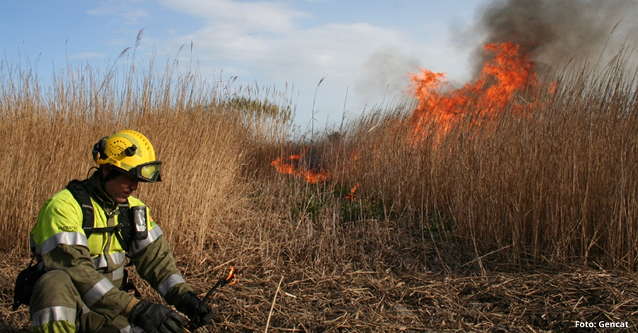 Cremes controlades al Parc Natural del Delta de l’Ebre | EbreActiu.cat, revista digital d’oci actiu | Terres de l’Ebre ...