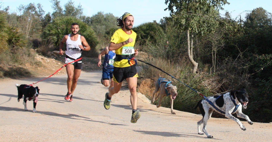 Muy buena participacin en el primer canicros de la temporada 2016/17 | EbreActiu.cat, revista digital de ocio activo | Terres de l’Ebre...