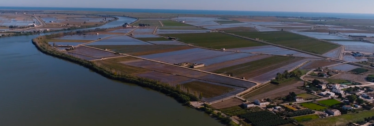 Cruceros Olmos, cruceros en el Delta del Ebro | EbreActiu.cat, revista digital de ocio activo | Terres de l’Ebre...