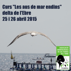 Curs Les aus de mar endins