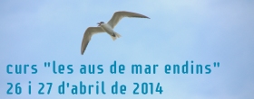 Curs les aus de mar endins