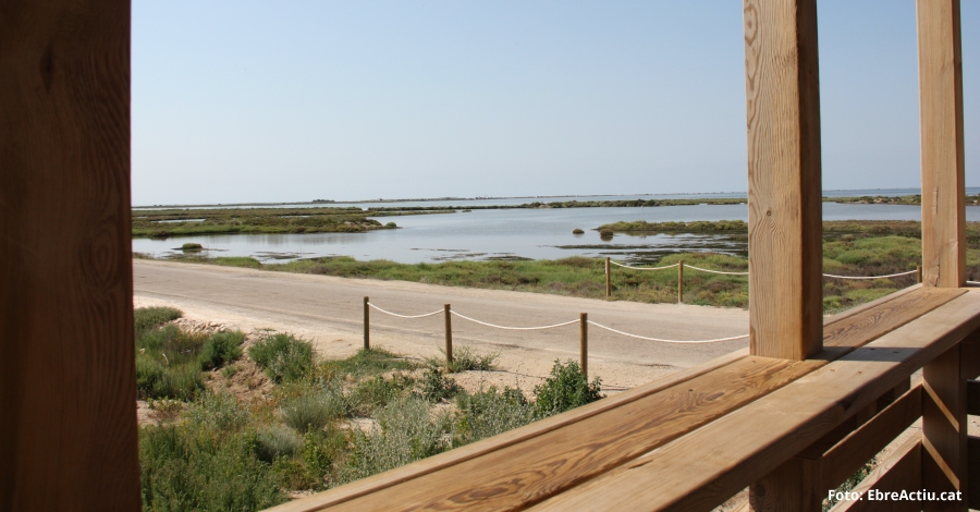 El Parc Natural del Delta de l’Ebre organitza la primera edici del curs Bon coneixedor del Parc | EbreActiu.cat, revista digital d’oci actiu | Terres de l’Ebre ...