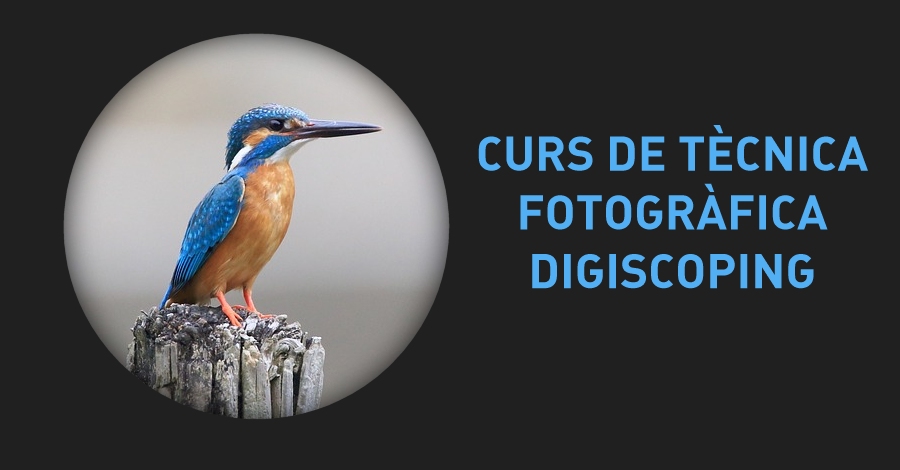 Curso: tcnica digiscoping