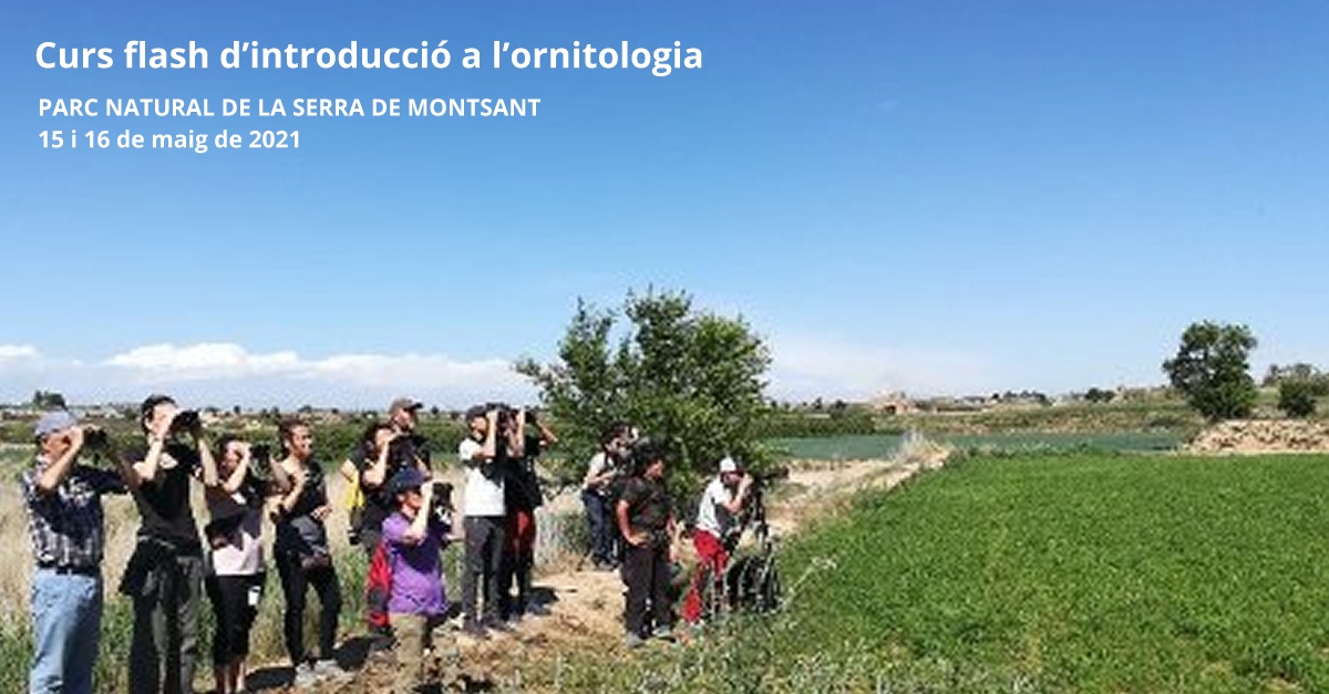 Curs flash dintroducci a lornitologia