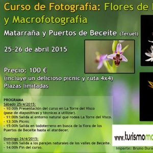 Taller fotogrfic flors de Primavera i macrofotografia