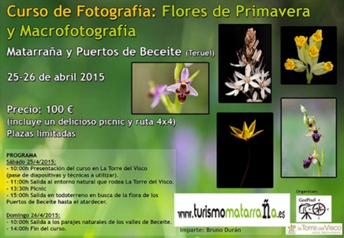 Taller fotogrfic flors de Primavera i macrofotografia