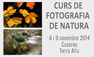 Curs de fotografia de natura