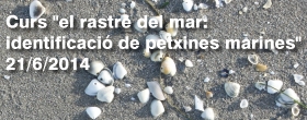 Curs el rastre del mar: identificaci de petxines marines