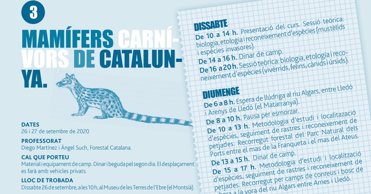 Curs: Mamfers carnvors de Catalunya