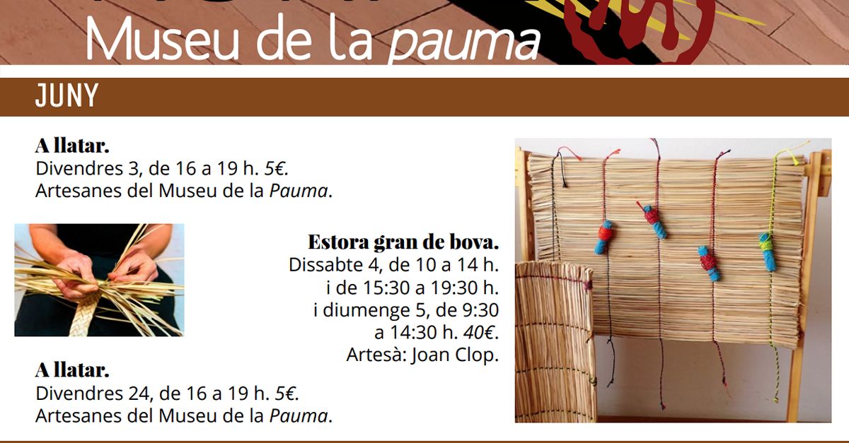 Cursos del Museu de la Pauma: Alfombra grande de boga