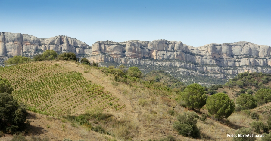 Nou curs per acreditar-se com a punt d’informaci del Parc Natural de Montsant i EIN Serra de Llaberia | EbreActiu.cat, revista digital d’oci actiu | Terres de l’Ebre ...