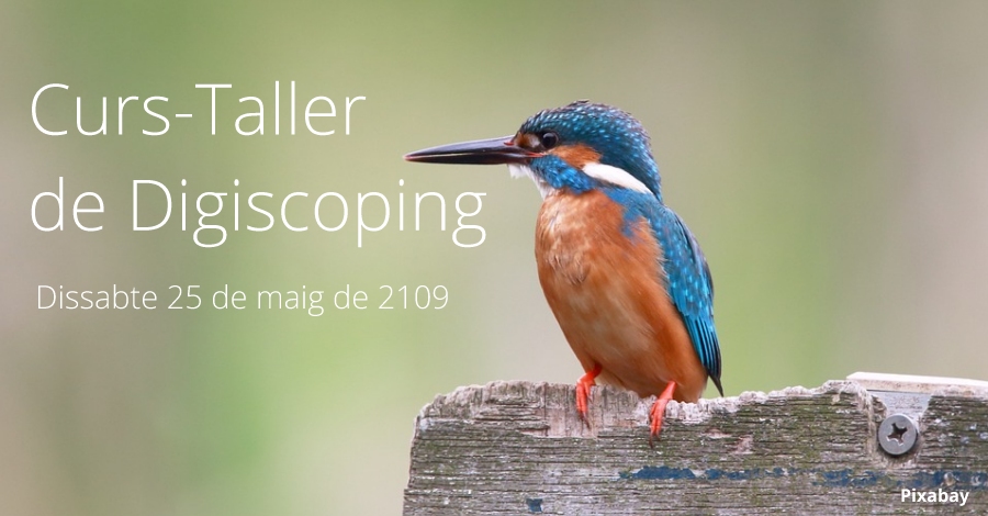 Curs-Taller de Digiscoping