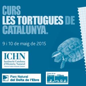 Curs les tortugues de Catalunya"