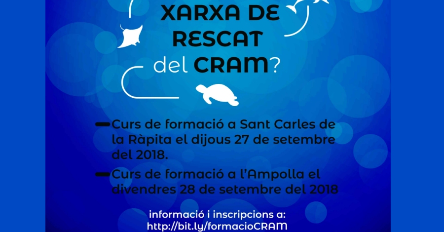 Curs de formacin de la Xarxa de Rescat del CRAM