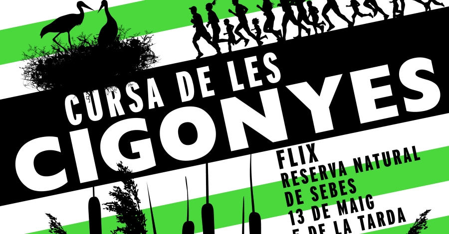 IV Cursa de les Cigonyes