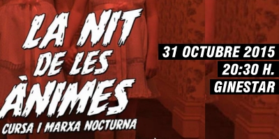 Cursa i marxa nocturna "la nit de les nimes"