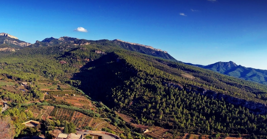 Mar acollir la primera cursa d’orientaci del Priorat | EbreActiu.cat, revista digital d’oci actiu | Terres de l’Ebre ...