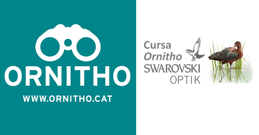 Un any ms torna la cursa Ornitho-Swarovski | EbreActiu.cat, revista digital d’oci actiu | Terres de l’Ebre ...