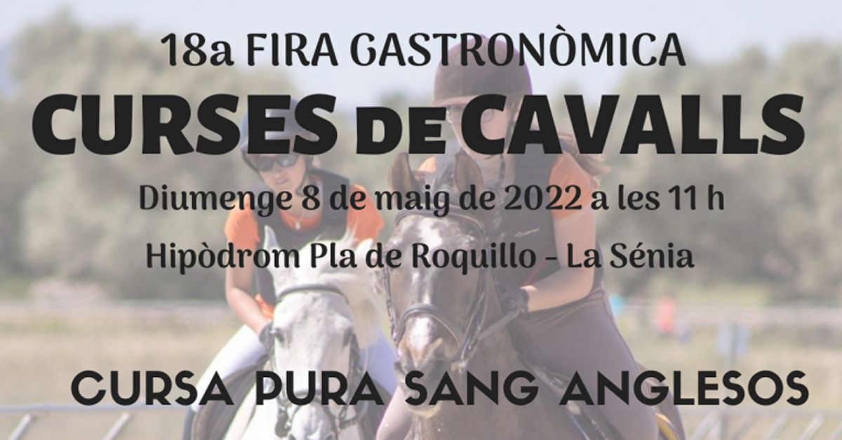 Carreras de caballos