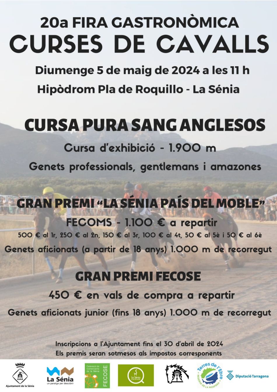 Curses de cavalls de la 20a Fira Gastronmica de la Snia