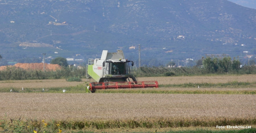 Prop de 2.500 ha d’arrs afectades per la tempesta d’aquest dimarts al Montsi | EbreActiu.cat, revista digital d’oci actiu | Terres de l’Ebre ...