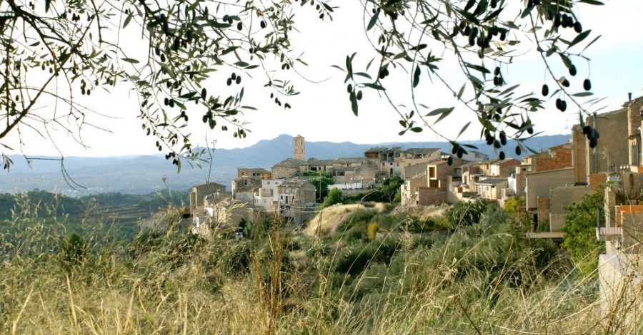 Darms acollir la festa comarcal de la clotxa el 17 de mar | EbreActiu.cat, revista digital d’oci actiu | Terres de l’Ebre ...