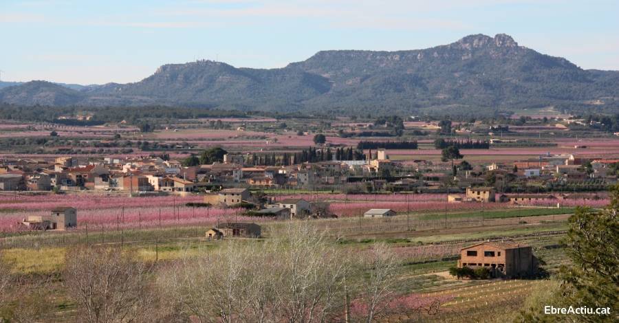 Darms es bolca per acollir diumenge la XVI Festa Comarcal de la Clotxa de la Ribera d’Ebre | EbreActiu.cat, revista digital d’oci actiu | Terres de l’Ebre ...