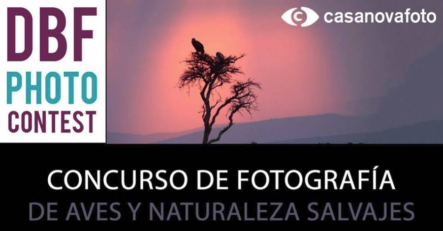 DBF PHOTO CONTEST - Concurs de fotografia