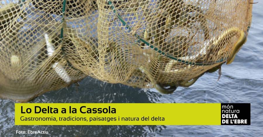 Lo Delta a la Cassola