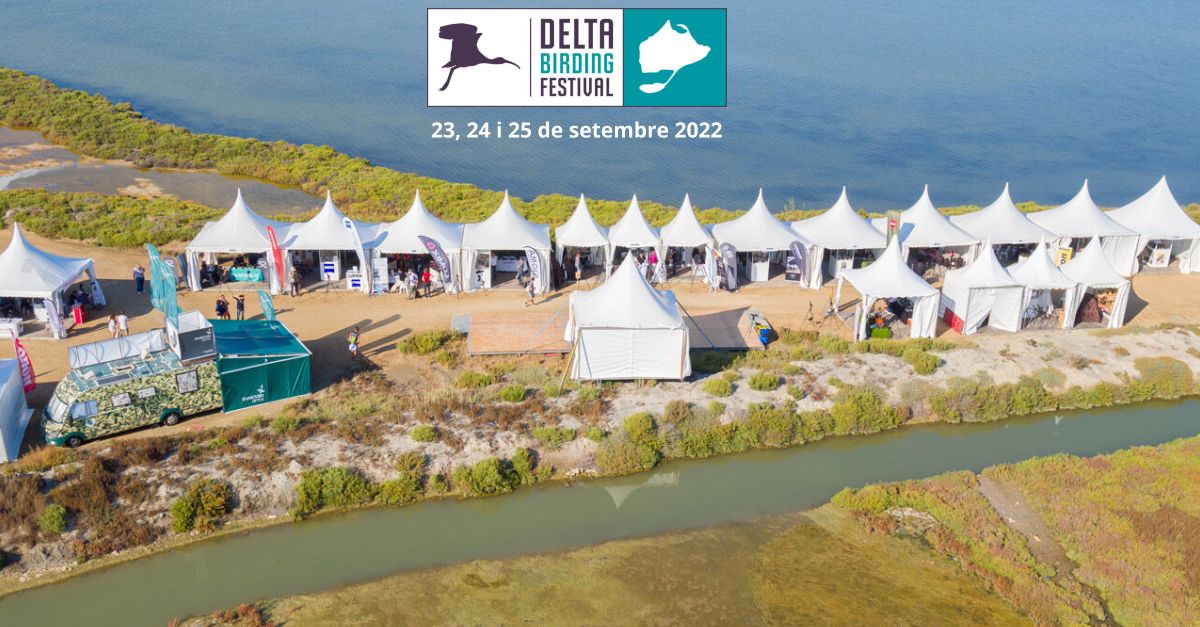 Delta Birding Festival